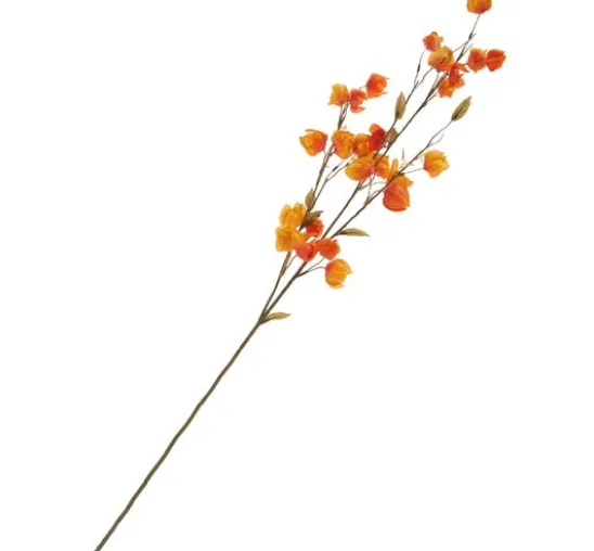 Physalis-Zweig "Elina"