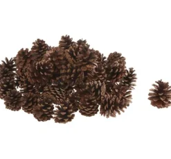Pinienzapfen