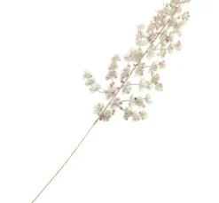 Pinien-Zweig mit Beeren