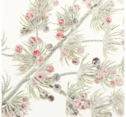 Pinien-Zweig mit Beeren