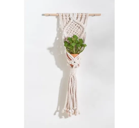 Rico Creative Cotton Cord