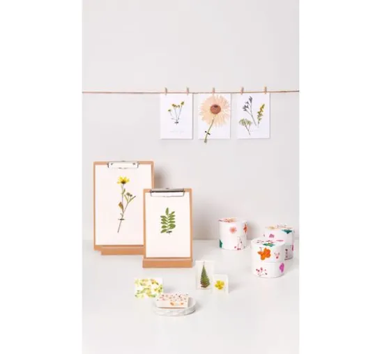 Rico Design Mix Set gepresste Blüten "Orange Türkis"