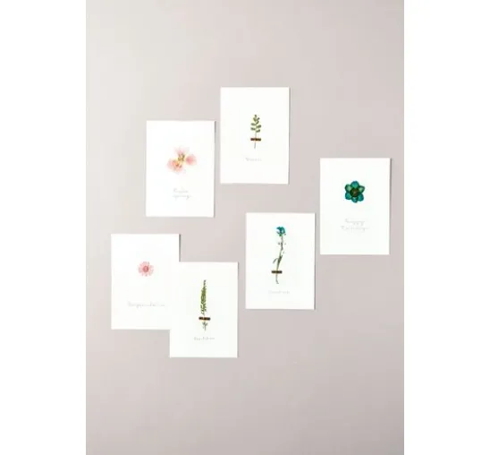Rico Design Mix Set gepresste Blüten "Orange Türkis"