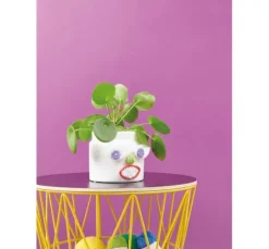 Rico Ricorumi Set 