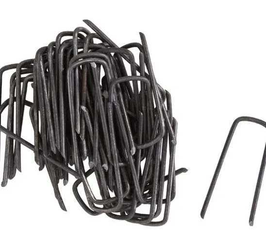 Römerhaften, 50 pc.