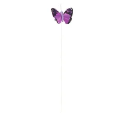 Schmetterling "Brasil"