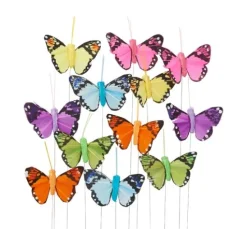 Schmetterling 