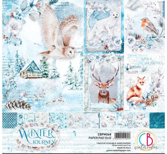 Scrapbook-Papier "Winter Journey"