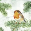 Serviette "Charming Robin"