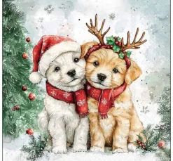 Serviette "Cody and Buddy"