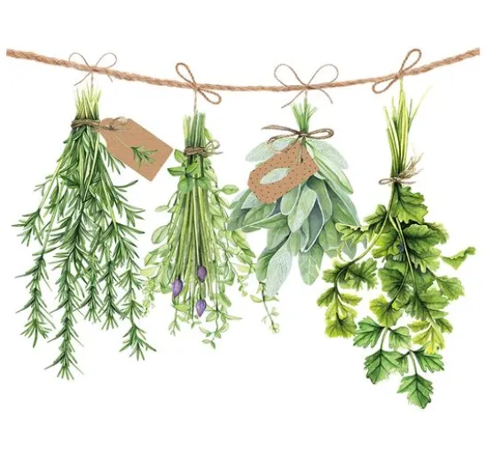 Serviette "Frische Kräuter"