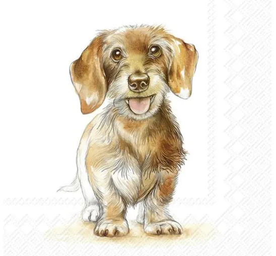 Serviette "Fritz"