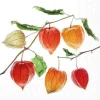 Serviette "Lampionblume"