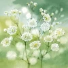 Serviette "Little Beauties"