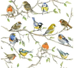 Serviette "Vogel-Treffen"