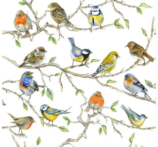 Serviette "Vogel-Treffen"