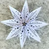 Silikonstempel für Faltstern Mittel "Frohe Weihnachten"