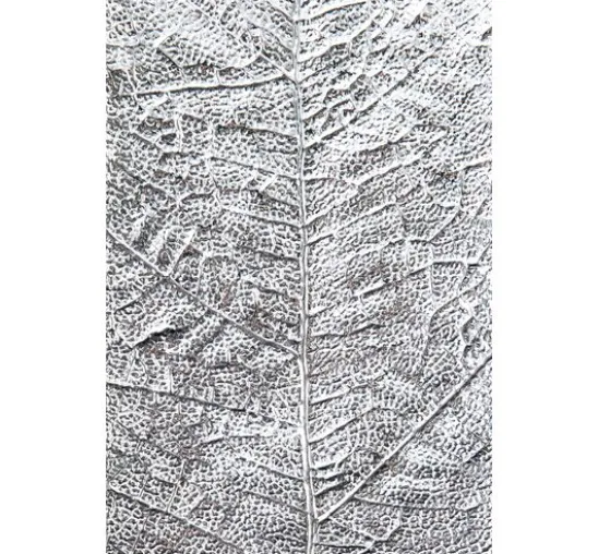 Sizzix 3D-Prägeschablone "Leaf Veins"