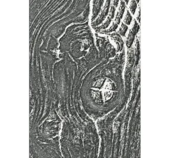 Sizzix 3D-Prägeschablone "Woodgrain by Tim Holtz"
