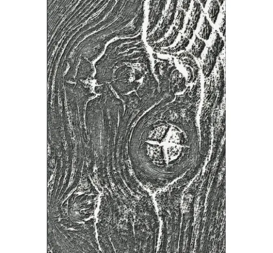 Sizzix 3D-Prägeschablone "Woodgrain by Tim Holtz"