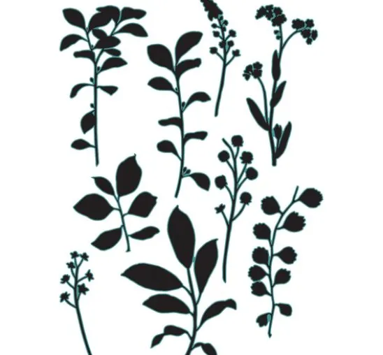 Sizzix Framelits Stanzschablone by 49 and Market "Fine Stems 02"