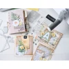 Sizzix Framelits Stanzschablone und Clear Stamps "Creative Combos by 49 & Market