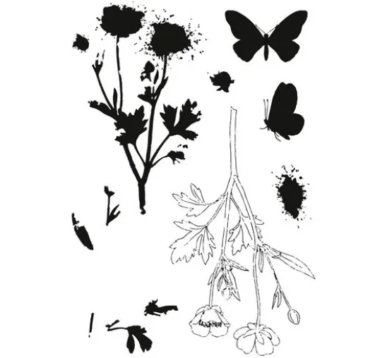 Sizzix Framelits Stanzschablone und Clear Stamps "Painted Pencil Botanical"