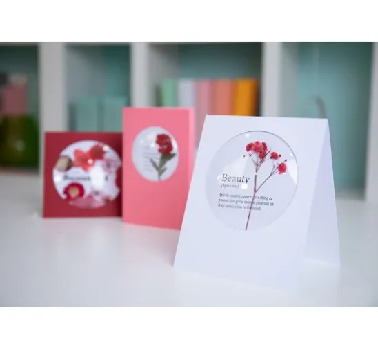 Sizzix Shaker Domes "Rund"