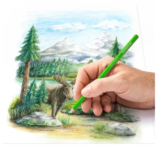 STAEDTLER Buntstifte, 72-tlg.