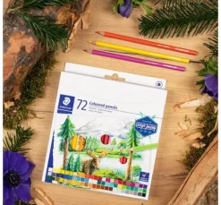STAEDTLER Buntstifte, 72-tlg.