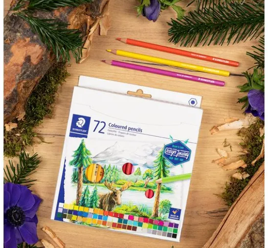 STAEDTLER Buntstifte, 72-tlg.