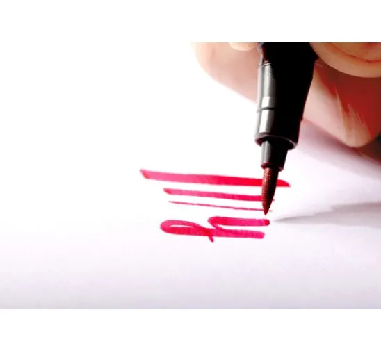 STAEDTLER Pigment brush pen, 6er-Set