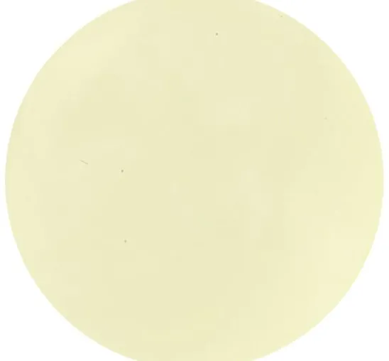 Stamperia Soft Paint