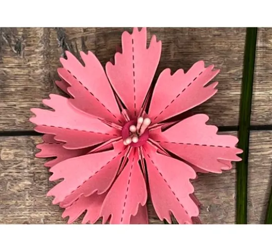 Stanzschablonen-Faltblume "Cosmea"