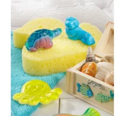 Starter-Set
