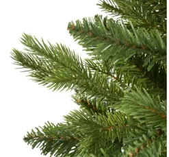 Tannenbaum