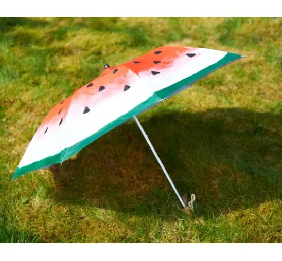 Taschenschirm