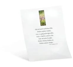 Transparentpapier, 10 Blatt