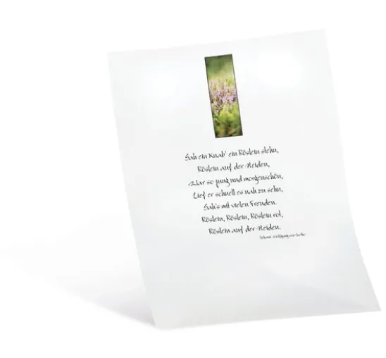 Transparentpapier, 10 Blatt