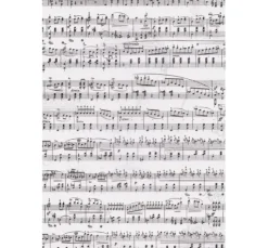 Transparentpapier "Noten"