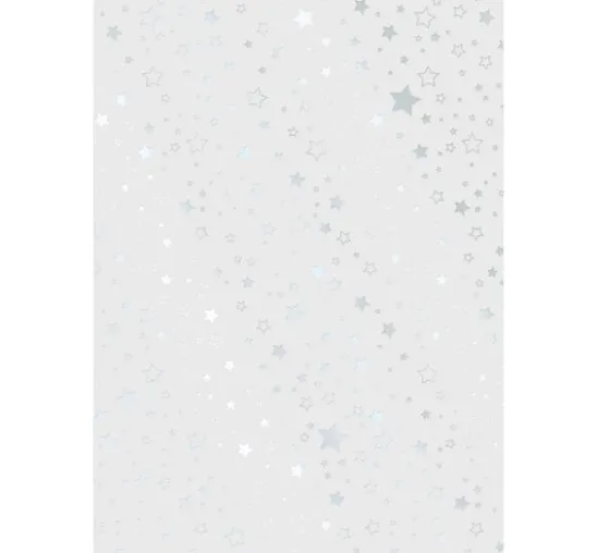 Transparentpapier-Set "Weihnachten" Gold/Silber