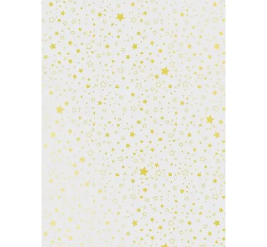 Transparentpapier-Set "Weihnachten" Gold/Silber