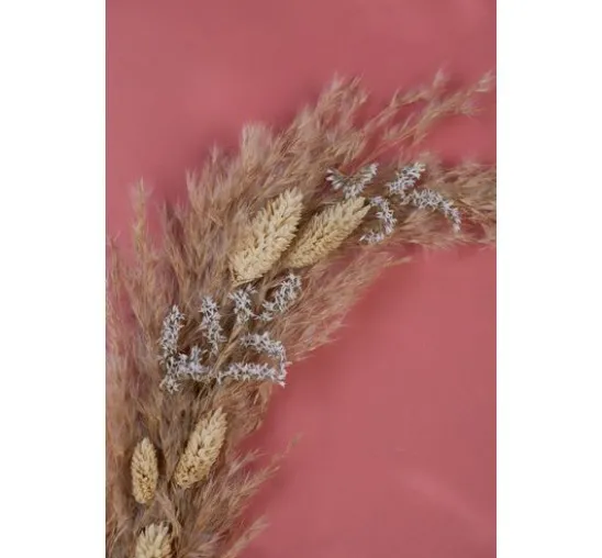 Trockenblumen "Phalaris"