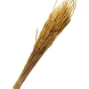 Trockenblumen "Phleum Pratensis"