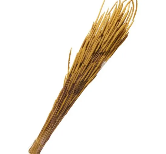 Trockenblumen "Phleum Pratensis"