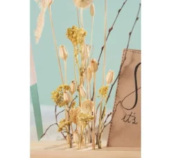Trockenblumen Set "Distel"