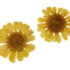 Trockenblumen Sortiment, 9 Tiegel