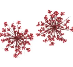 Trockenblumen Sortiment, 9 Tiegel