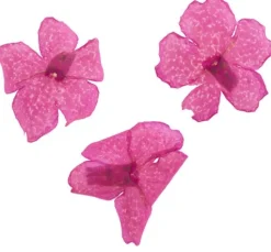 Trockenblumen Sortiment, 9 Tiegel