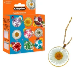 Trockenblumen Sortiment, 9 Tiegel